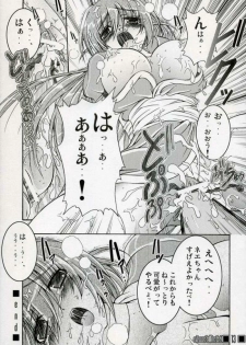 (SC31) [a.la.mode (Kagura Takeshi)] Degeneration (Dead or Alive) - page 12