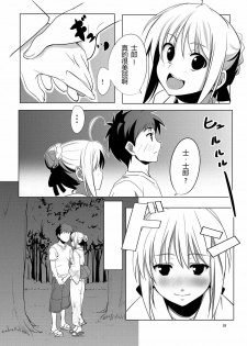 (C78) [CROSS FIRE (Azu)] Fate/fireworks (Fate/stay night) [Chinese] [萌の羽翼汉化组] - page 18