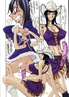 (C63) [Majimadou (Matou)] Dokuri Marugoto Namashibori (One Piece) [Colorized] - page 5