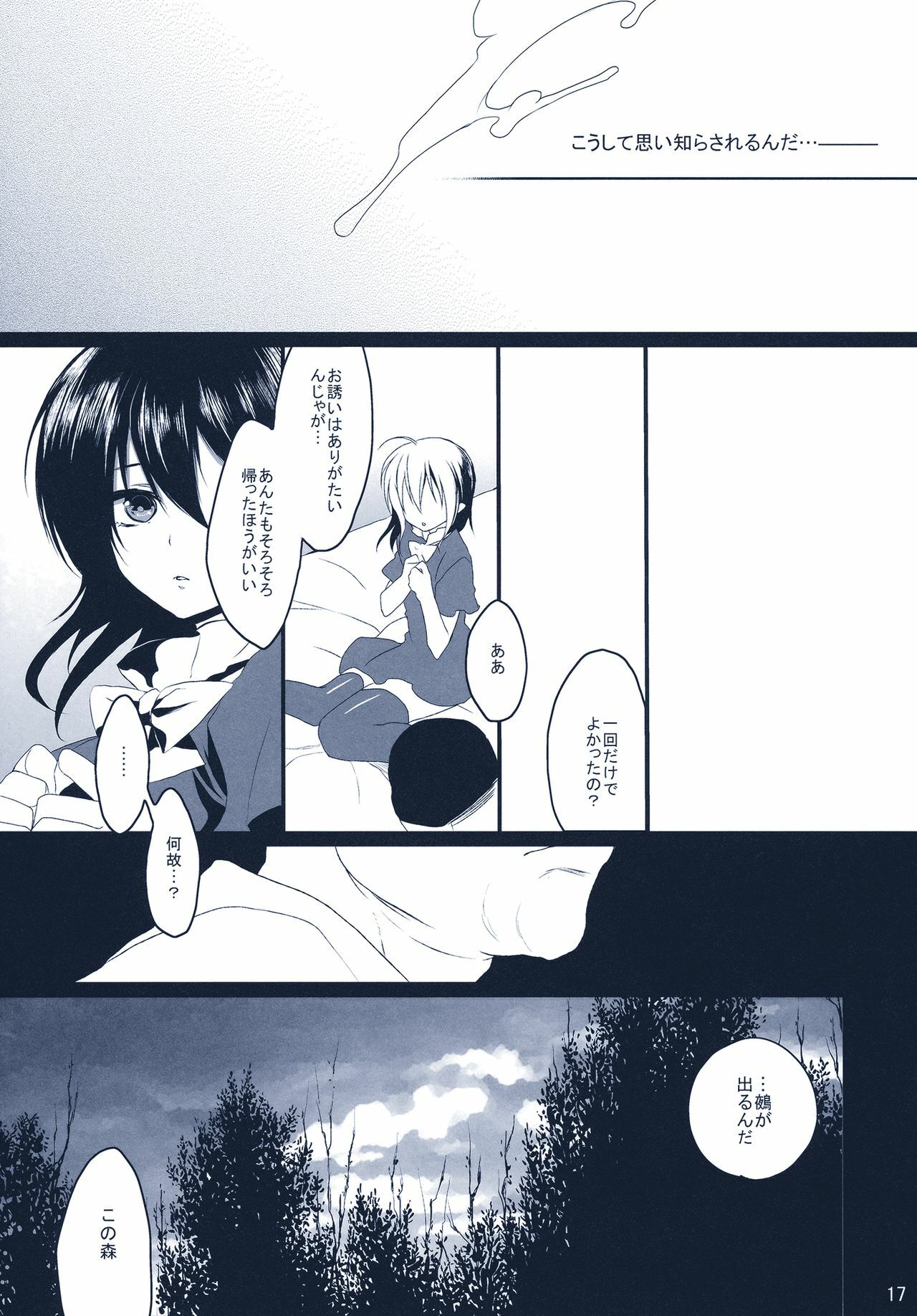 (C78) [super:nova (Yukimachi Tounosuke)] Na Mo Naki Tori - The bird without name in forest of grief. (Touhou Project) page 17 full