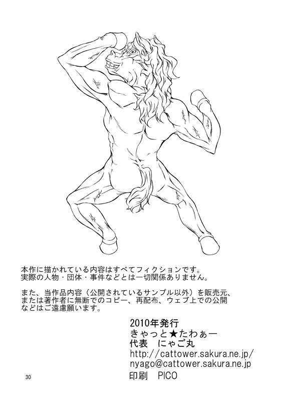 (SC47) [Cat Tower (Nyagomaru)] Zetsurin Inba 2-tou (Dragon Quest V) page 30 full