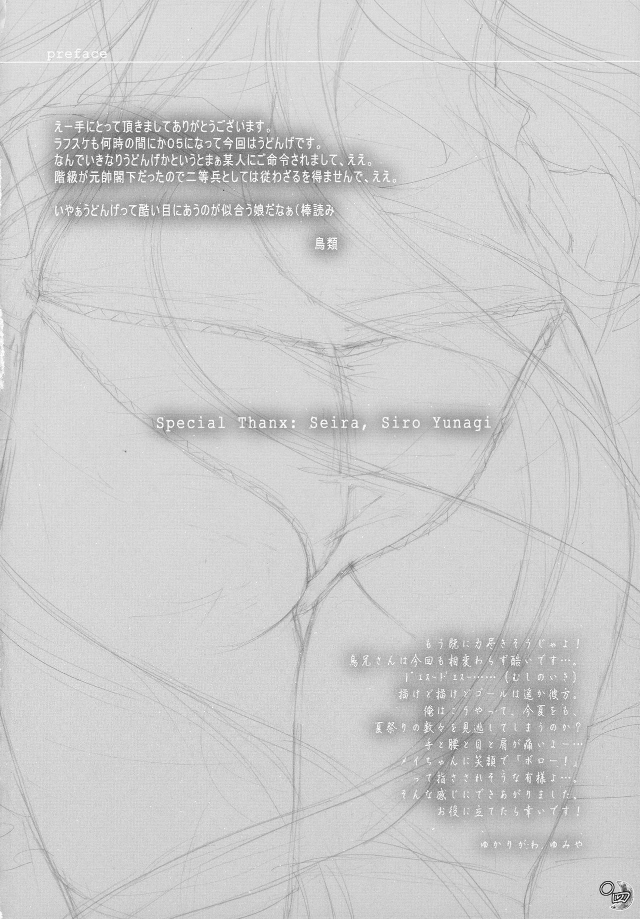 (C78) [Kinetoscope (Chourui, Yukarigawa Yumiya)] Kinetoscope Rough Sketch 05 (Touhou Project) page 4 full