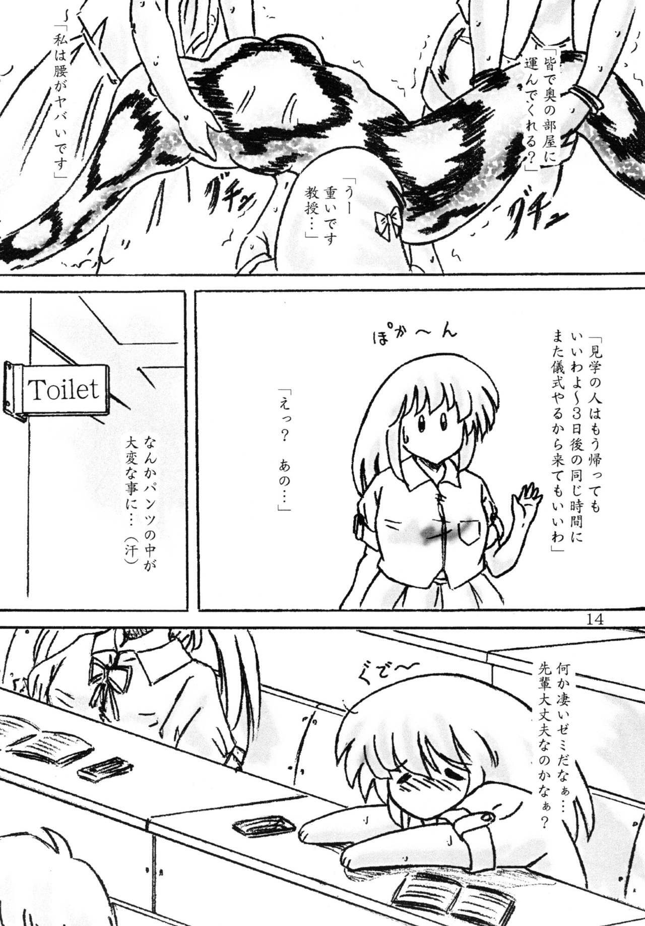 (C78) [Sumomo Dou (Sumomo EX)] Ikenie Seminar page 14 full