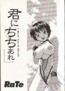 [RaTe] Kimi ni Chichi Are - page 4