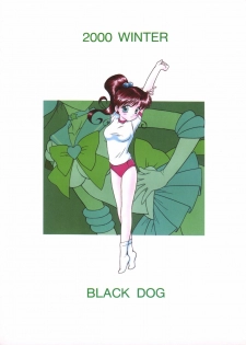 [BLACK DOG (Kuroinu Juu)] Green Day (Bishoujo Senshi Sailor Moon) [2001-02-21] - page 30