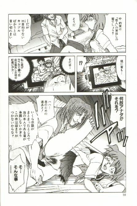 [SHIZUKA] Kinbaku Choukyou ~Aido Shigan~ page 12 full