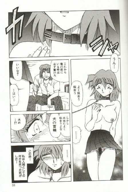 [SHIZUKA] Kinbaku Choukyou ~Aido Shigan~ page 35 full