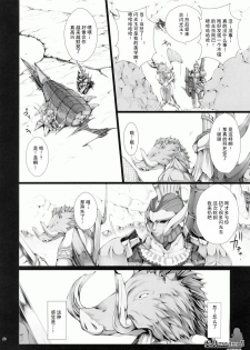 (C78) [UDON-YA (Kizuki Aruchu, ZAN)] MonHun no Erohon 9 (Monster Hunter) [Chinese] [天月NTR汉化组] - page 20