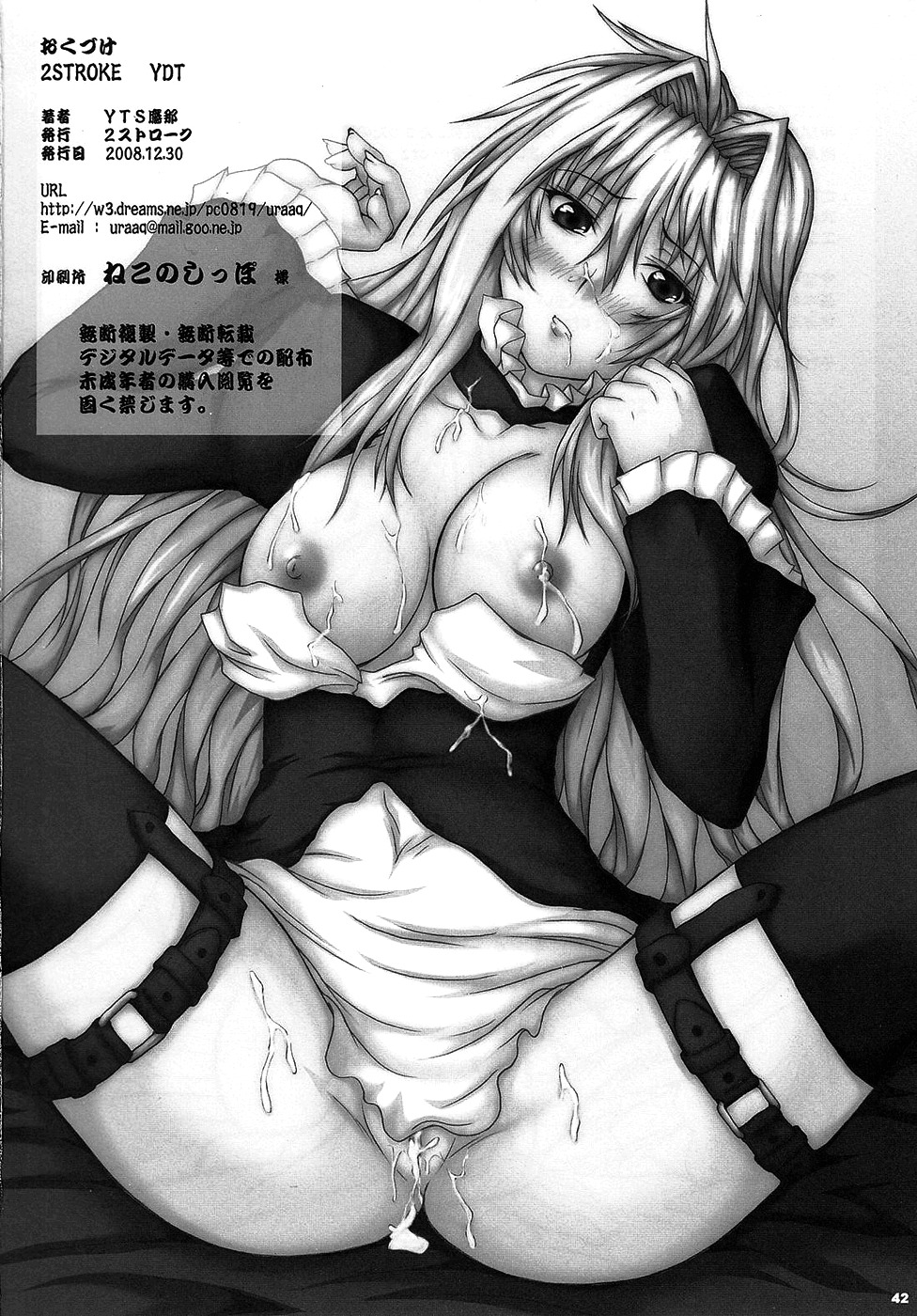 (C75) [2Stroke (YTS Takana)] 2Stroke YDT (Sekirei) [English] =Wrathkal+A-Team= page 41 full