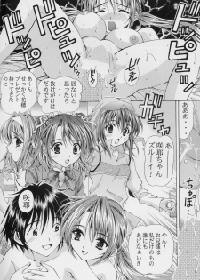 [SHIMEKIRI SANPUNMAE (Tukimi Daifuku)] Only You Happy Birthday (Sister Princess) - page 16