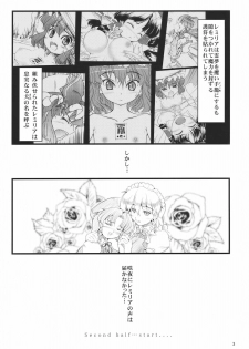 (C78) [LeimkissA (Nekohane Ryou)] Kouhaku Tenchuu (Touhou Project) - page 3