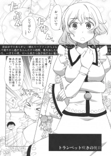 (C78) [AJINIHOUROKU (HANEMA)] Prism River 18 kin Goudoushi Trio Side Dish (Touhou Project) - page 17