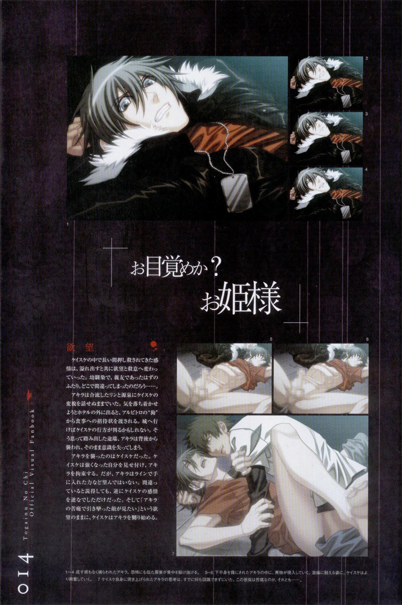 Togainu no chi - Official Visual Fan Book page 15 full