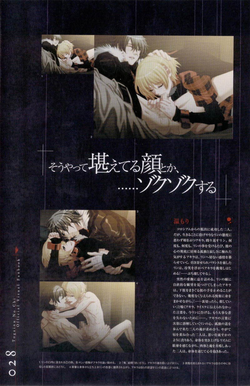 Togainu no chi - Official Visual Fan Book page 29 full