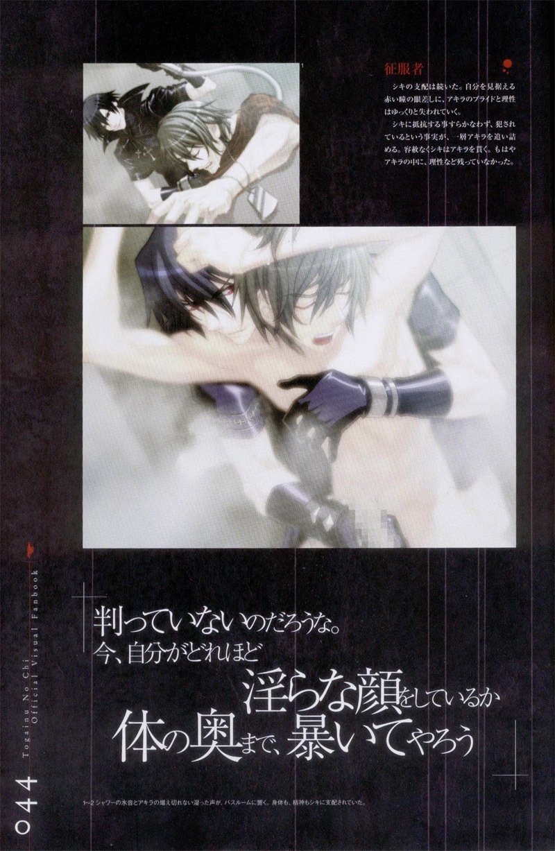 Togainu no chi - Official Visual Fan Book page 45 full