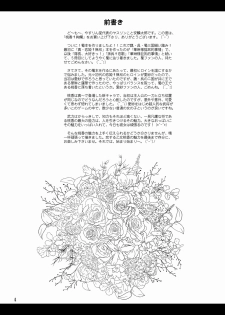 (C76) [YASRIN-DO (Yasu Rintarou)] Touka Kenran (Shin Koihime Musou) [English] =Team Vanilla= - page 3