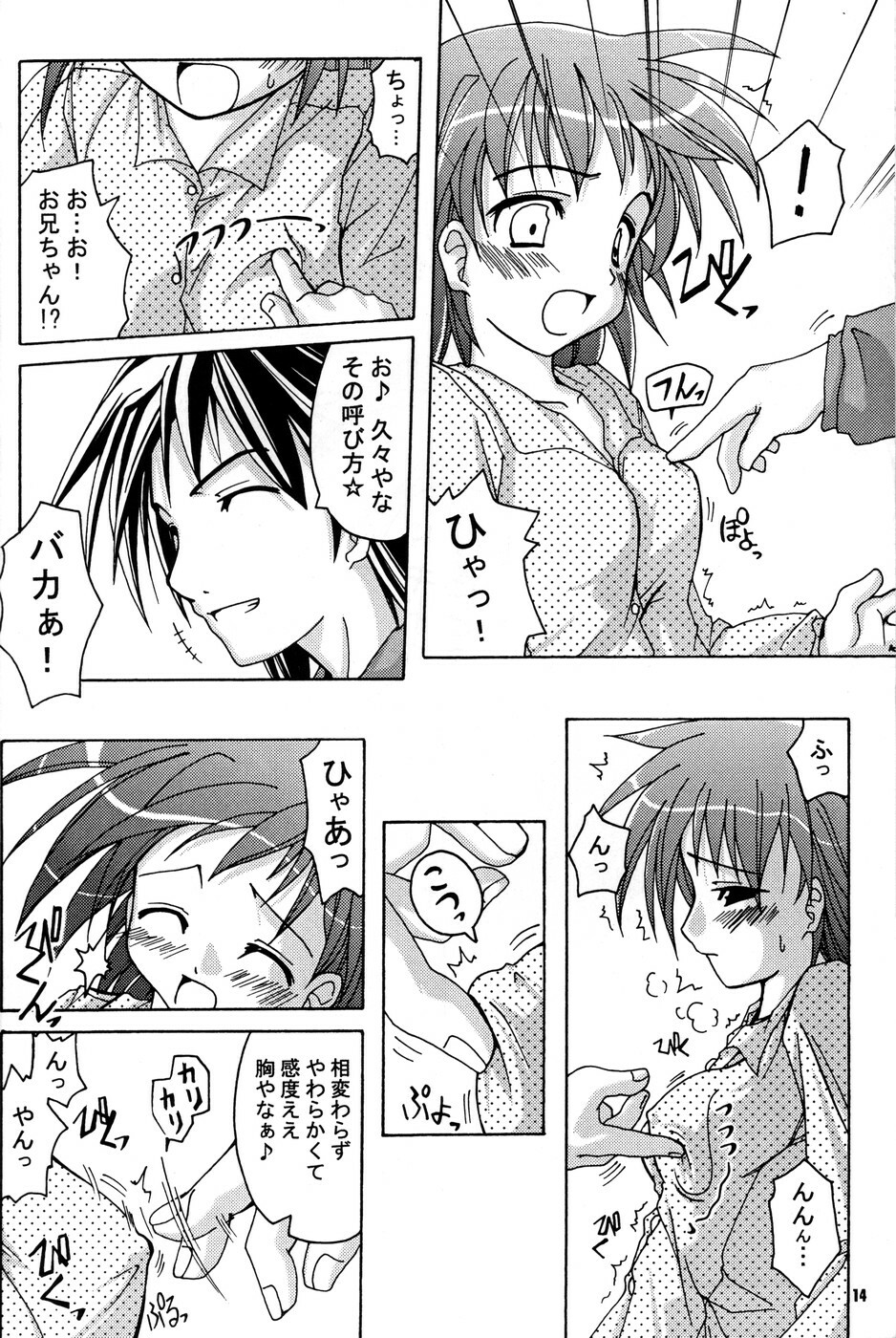 (C64) [Active Sunrise (Muranako)] Oshiroibana 2 page 13 full