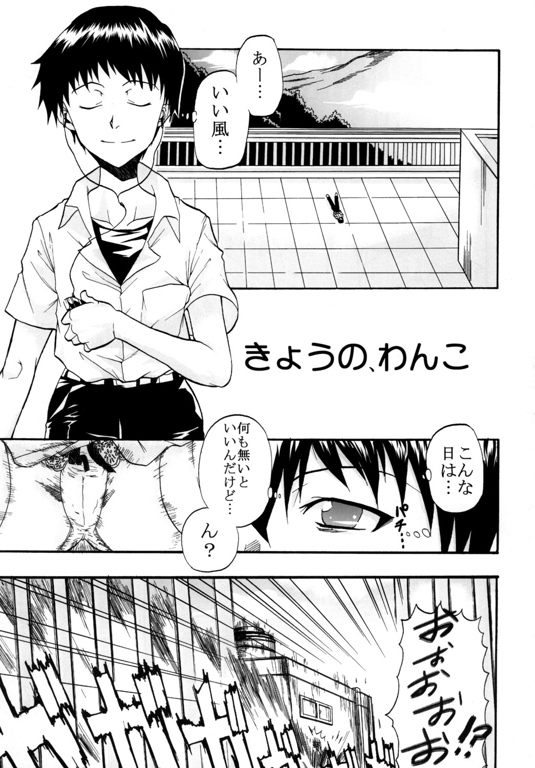 (C76) [St. Rio (Kitty, Naoki)] Aggressive Beast Charge (Neon Genesis Evangelion) page 4 full