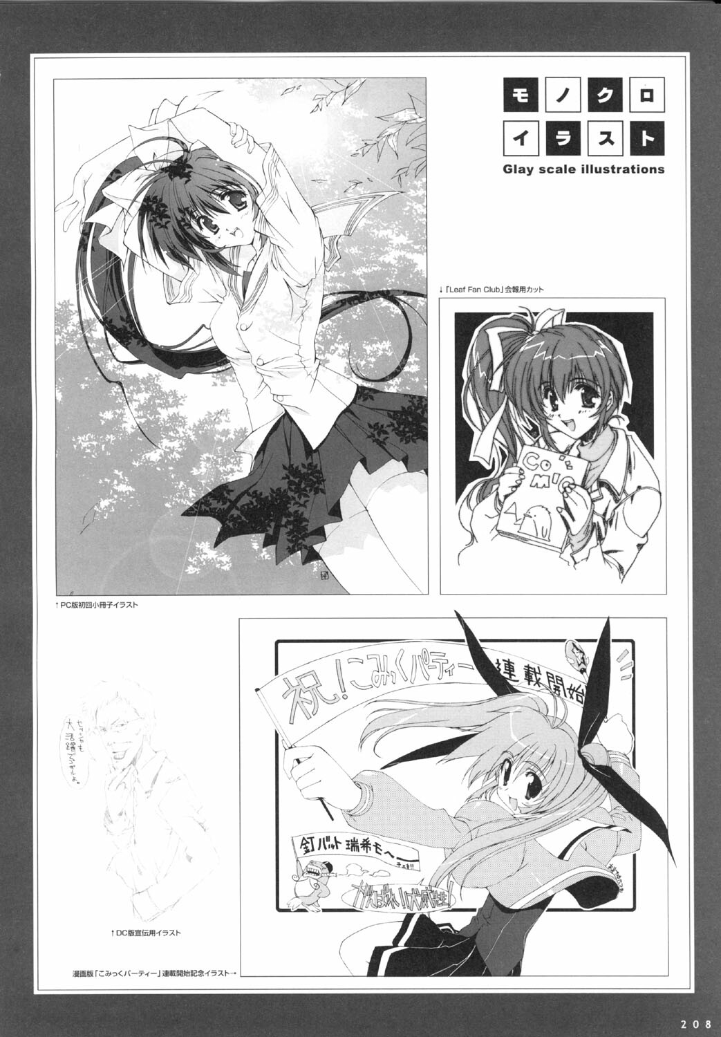 COMIC PARTY VISUAL FUN BOOK page 211 full
