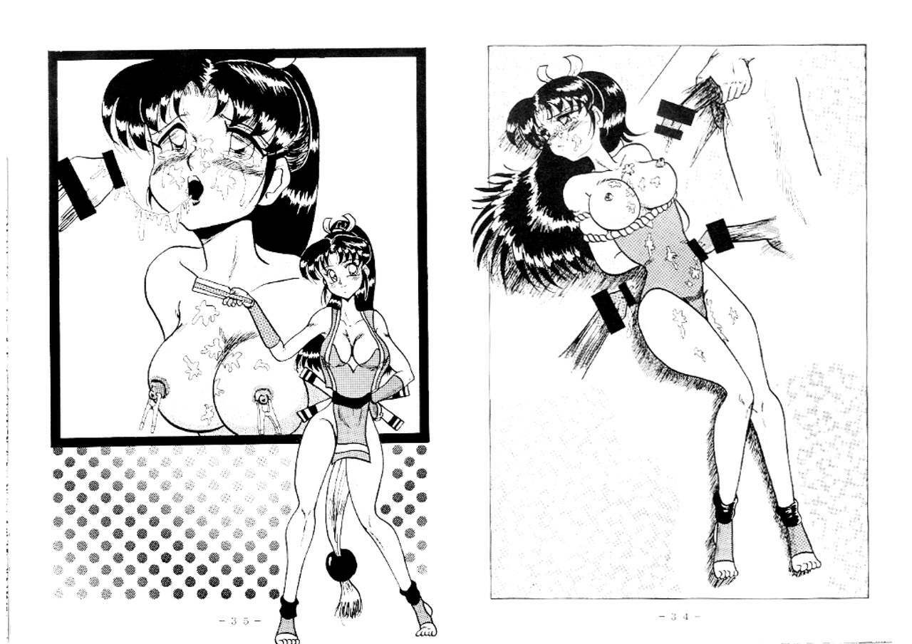 [White Elephant (Various)] Mai-chan Kannou Shashinshuu (King of Fighters) page 17 full