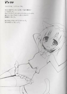 (C78) [TOYBOX, Kujira Logic (Kurikara, Kujiran)] Gensoukyou Chichi Zukan You EX (Touhou Project) - page 24