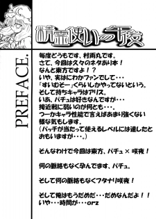 (SC28) [Domestic animals (Murasame Maru)] Seireitsukai no Gogo | El Atardecer de la Hechicera (Touhou Project) [Spanish] [Lateralus-Manga] - page 3