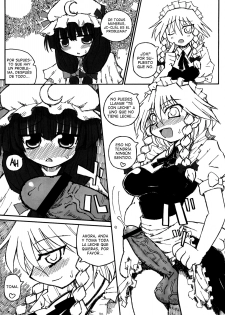 (SC28) [Domestic animals (Murasame Maru)] Seireitsukai no Gogo | El Atardecer de la Hechicera (Touhou Project) [Spanish] [Lateralus-Manga] - page 6