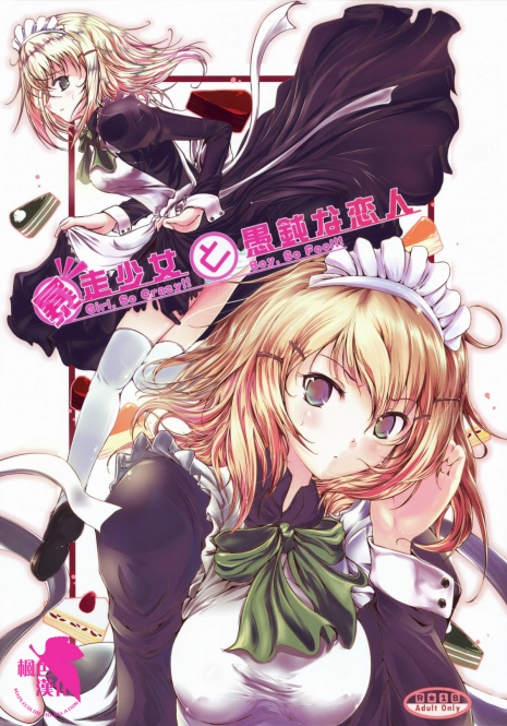 (C75) [Dream Halls! (Tsuzuri)] Bousou Shoujo to Gudon na Koibito (Bungaku Shoujo) [Chinese] [枫色汉化]