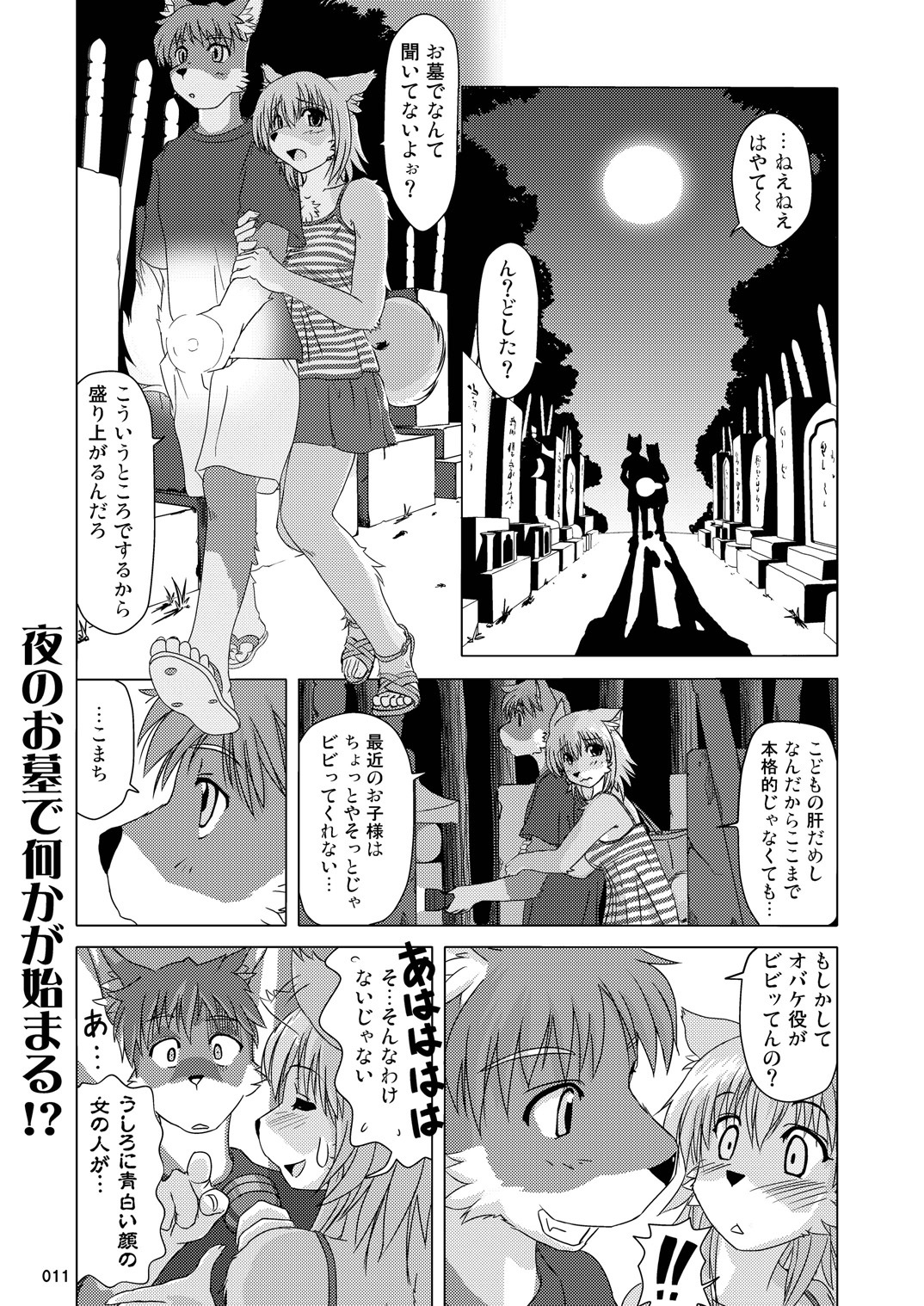 (C78) [TOVIC (Hinpa)] COMIC KEMOSTORE Soukangou page 11 full