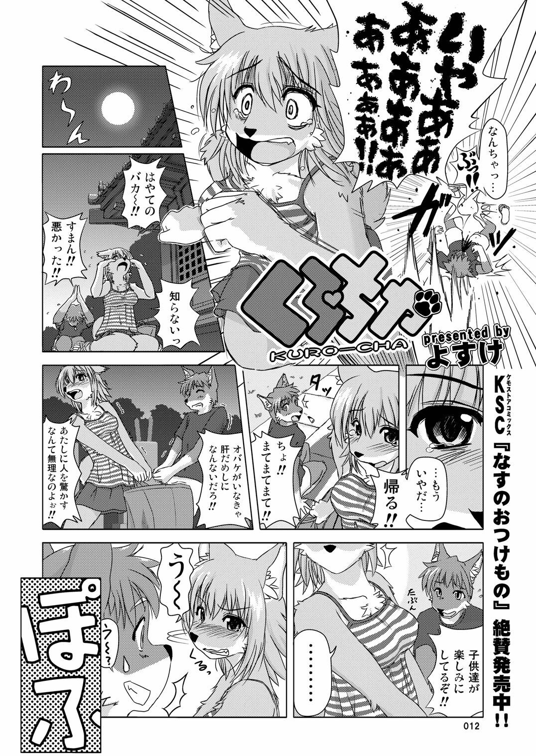 (C78) [TOVIC (Hinpa)] COMIC KEMOSTORE Soukangou page 12 full