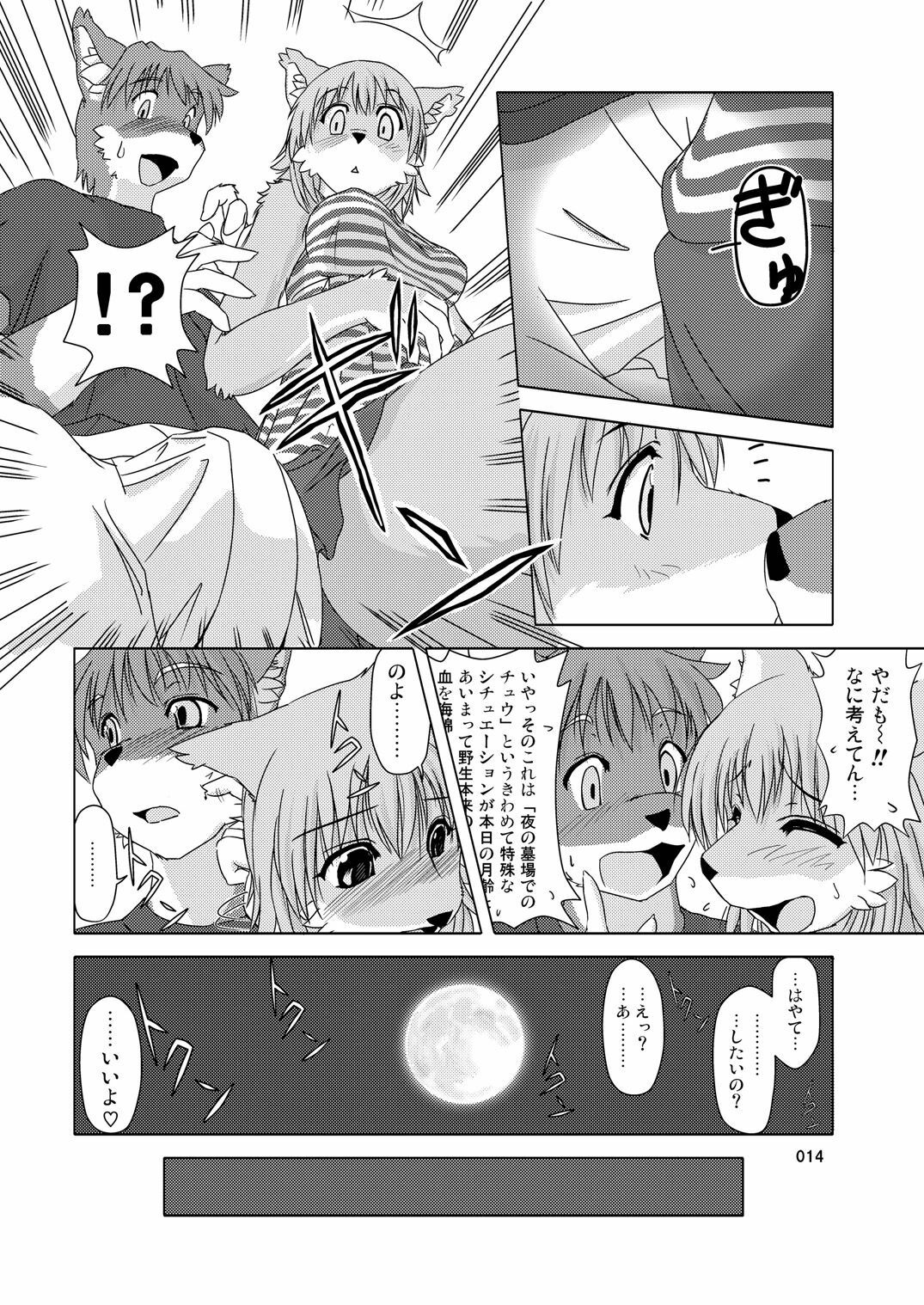 (C78) [TOVIC (Hinpa)] COMIC KEMOSTORE Soukangou page 14 full