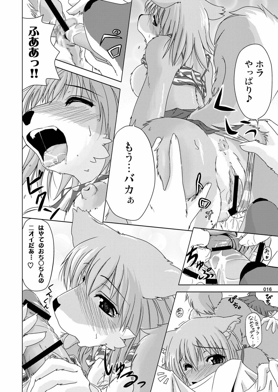 (C78) [TOVIC (Hinpa)] COMIC KEMOSTORE Soukangou page 16 full