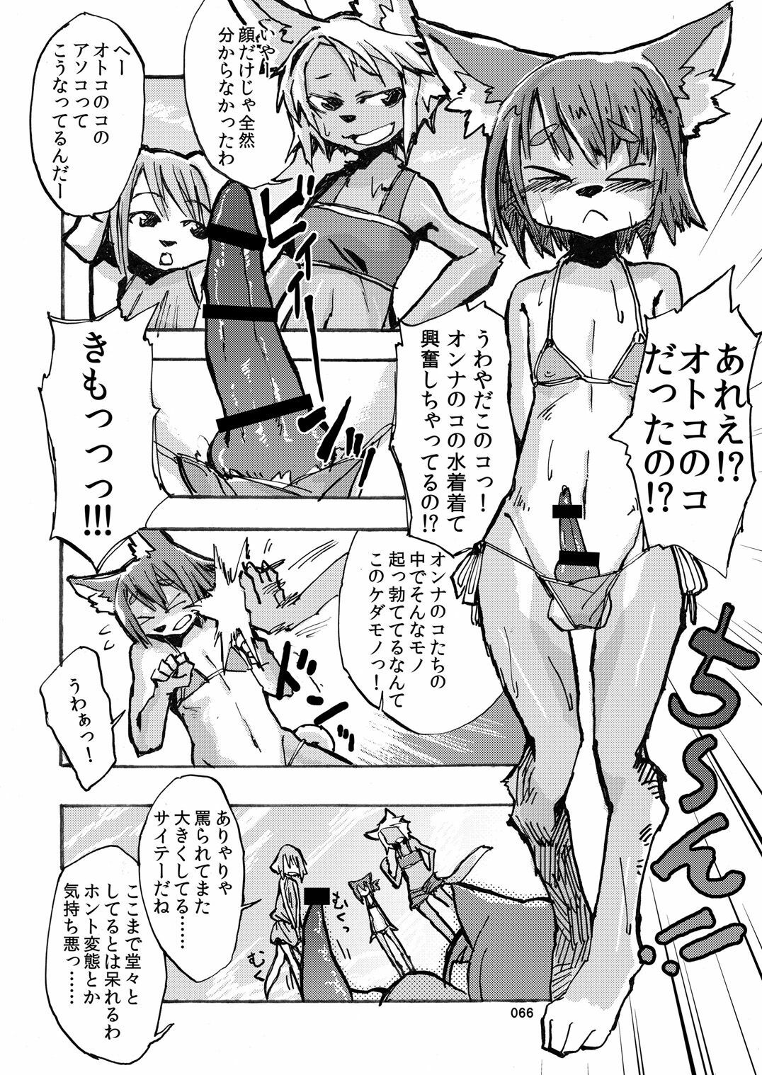 (C78) [TOVIC (Hinpa)] COMIC KEMOSTORE Soukangou page 67 full