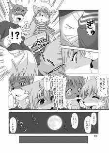 (C78) [TOVIC (Hinpa)] COMIC KEMOSTORE Soukangou - page 14