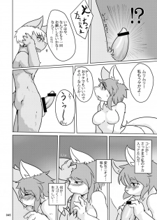 (C78) [TOVIC (Hinpa)] COMIC KEMOSTORE Soukangou - page 45