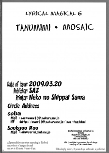 (Lyrical Magical 6) [SAZ (soba, Soukurou)] Tanumimi Mosaic (Mahou Shoujo Lyrical Nanoha) [English] [Tonigobe] - page 19