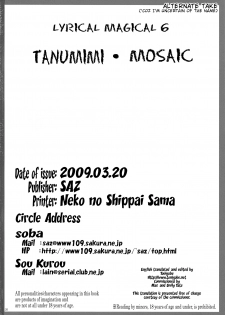 (Lyrical Magical 6) [SAZ (soba, Soukurou)] Tanumimi Mosaic (Mahou Shoujo Lyrical Nanoha) [English] [Tonigobe] - page 25