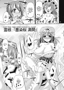 (C78) [Albatross (Nikusyo, Mei)] Idol Misuchi Ikimasu!! (Touhou Project) [English] [desudesu] - page 15