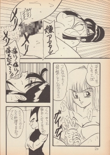 (C50) [Ayashii Yatsura (Ayashi Ayashibe)] Play Dragon 6 (Dragon Ball Z) - page 19