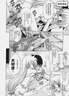 (C78) [Rivajima (Yajima Index)] Osanazuma Fate ~Kayoi Tsuma Hen~ (Mahou Shoujo Lyrical Nanoha) - page 25