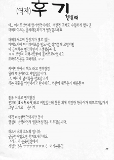 (C72) [Forbidden-Lips (Ryo)] Mabi Life 5 | 마비 라이프 5 (Mabinogi) [Korean] [Ronove] - page 31