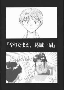 (C51) [Housoutou (Tagro)] EVA/I (Neon Genesis Evangelion) - page 39