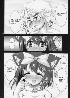 (C69) [Kenro Koubo (Orimoto Mimana)] Mahou Shoujo Neko XXX F (Mahou Shoujo Neko X) [English] - page 33