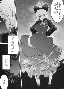 (C78) [RapidRabbit (Tomotsuka Haruomi)] Byoujo no Sho (Touhou Project) [Chinese] - page 24