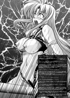 (Lyrical Magical 5) [WARP LOOP (45ACP)] Taichou Saizensen (Mahou Shoujo Lyrical Nanoha) - page 14