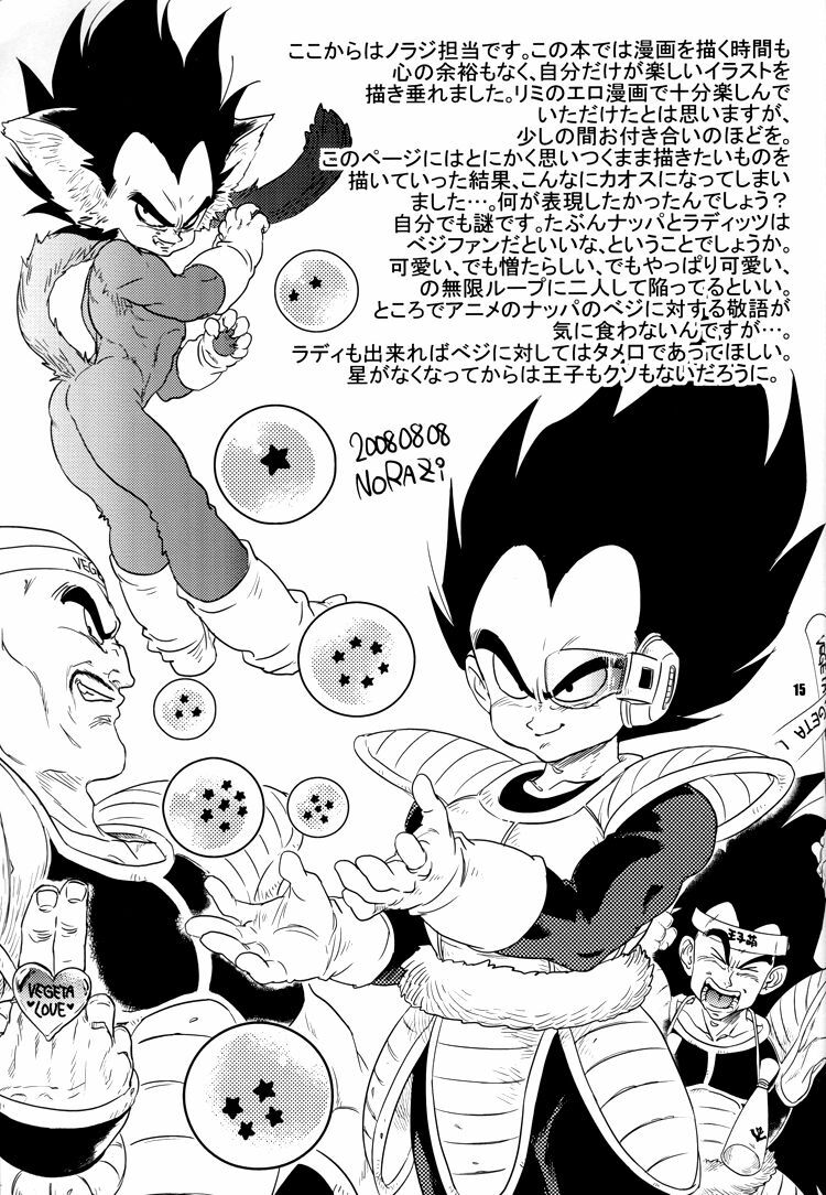 (C74) [Dokugunryu (Norazi, Komakawa Rimi)] Lost World and the Summer Beast (Dragon Ball Z) page 14 full