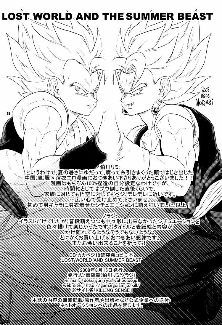 (C74) [Dokugunryu (Norazi, Komakawa Rimi)] Lost World and the Summer Beast (Dragon Ball Z) page 17 full