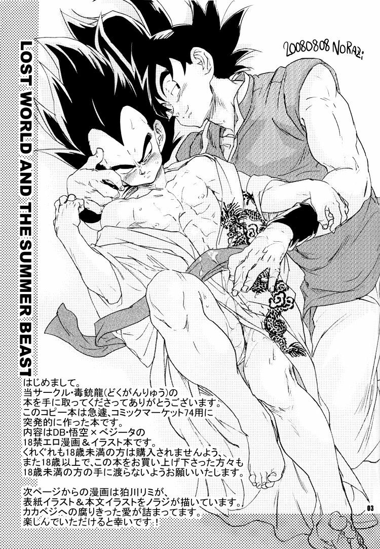 (C74) [Dokugunryu (Norazi, Komakawa Rimi)] Lost World and the Summer Beast (Dragon Ball Z) page 2 full