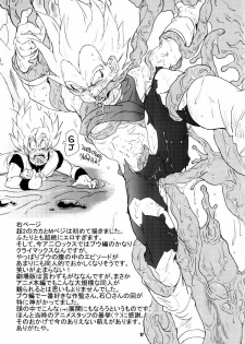 (C74) [Dokugunryu (Norazi, Komakawa Rimi)] Lost World and the Summer Beast (Dragon Ball Z) - page 16