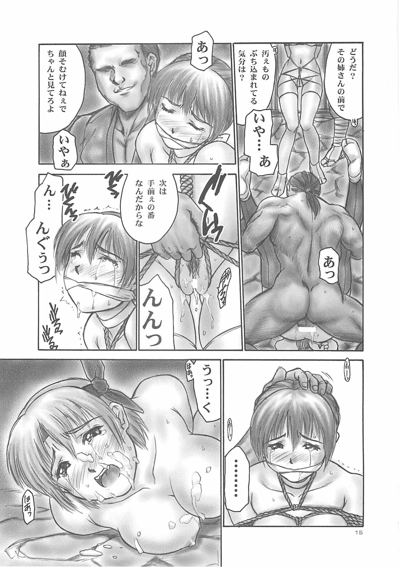 (C61) [Hellabunna (Iruma Kamiri)] INU/AO Posterior (Dead or Alive) page 14 full
